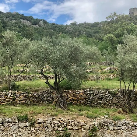 Charmante Maison A Guilhem Le Desert